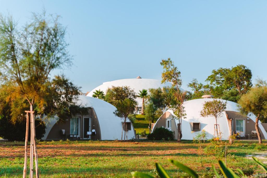 a group of round houses in a field with trees at Torre Cintola Greenblu Sea Emotions in Monopoli