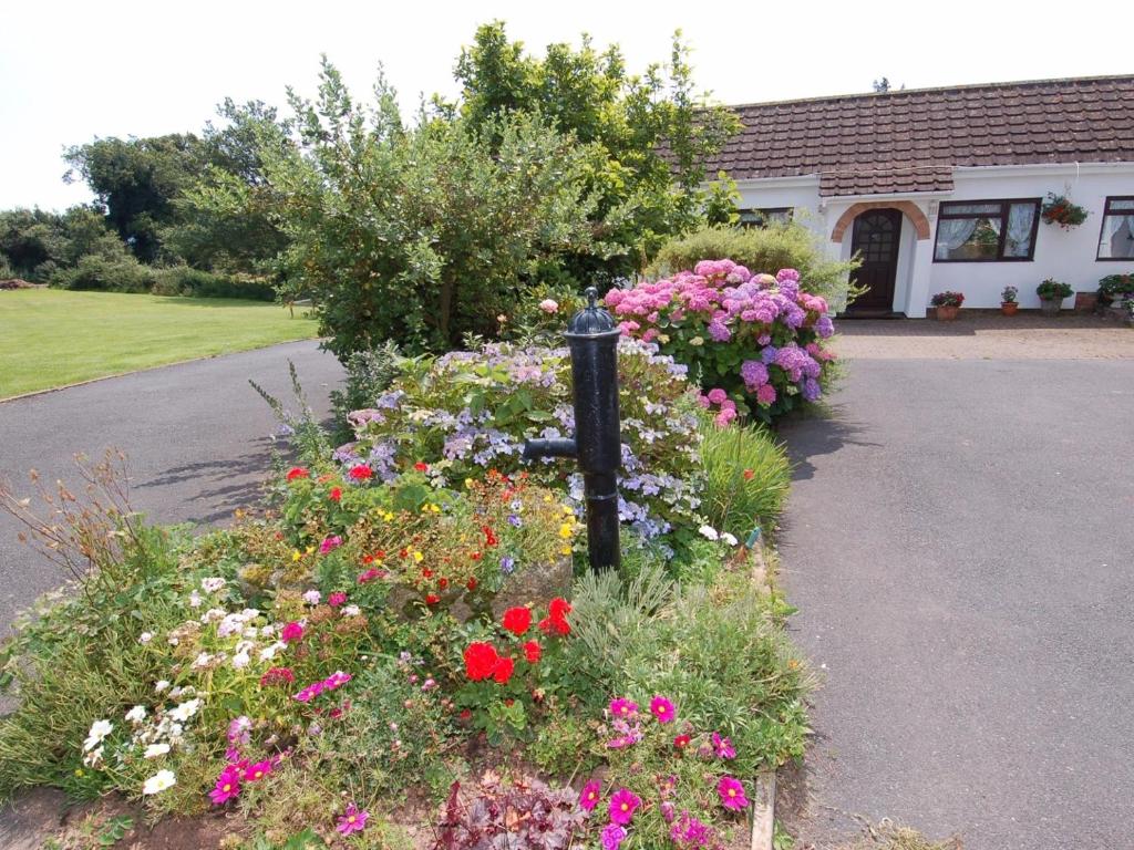 a garden of flowers in front of a house at Little Waycroft in Dawlish