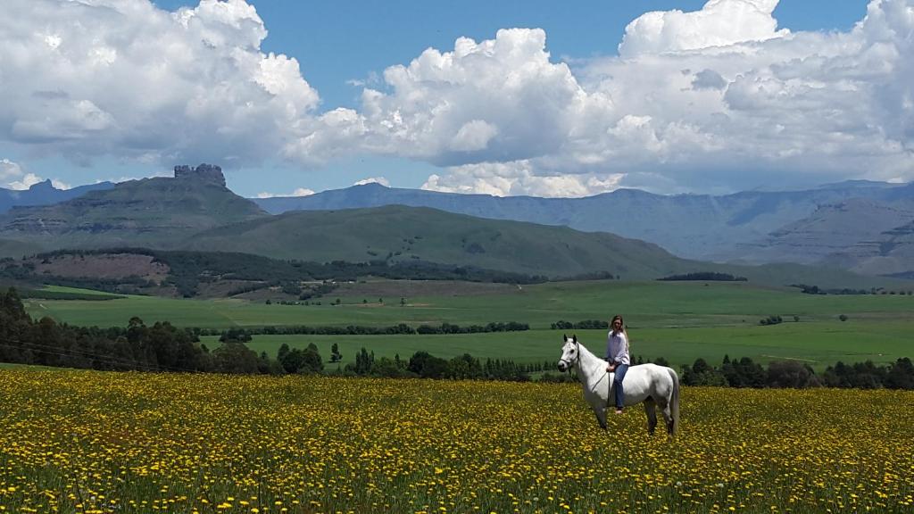 a woman riding a white horse in a field of flowers at Dragons Landing Guest Farm in Underberg