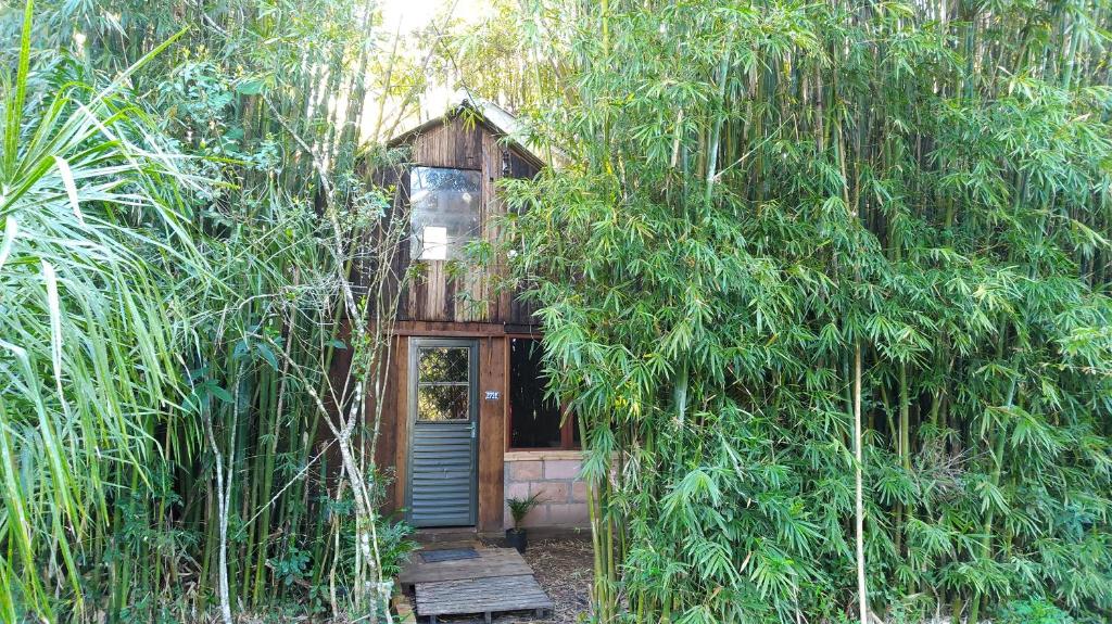 a tree house in the middle of a forest at Cabana Bambu in Sapiranga