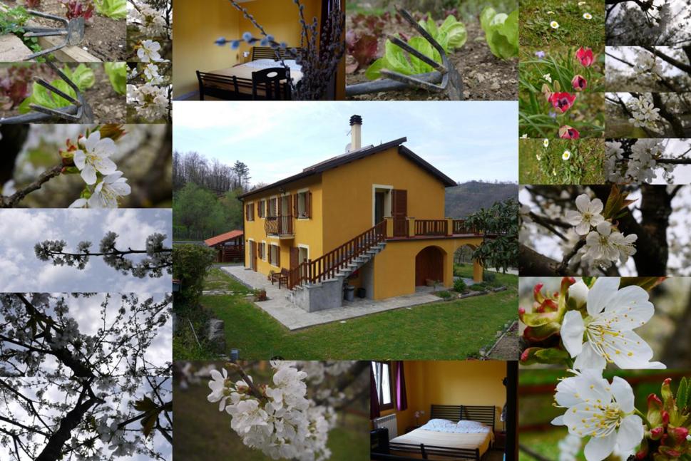 un collage d'images d'une maison et de fleurs dans l'établissement La Bordigona, à Carrodano Inferiore