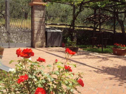 Zahrada ubytování Bellaria Relais