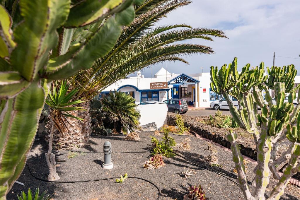Zahrada ubytování Charco del Palo Bungalows