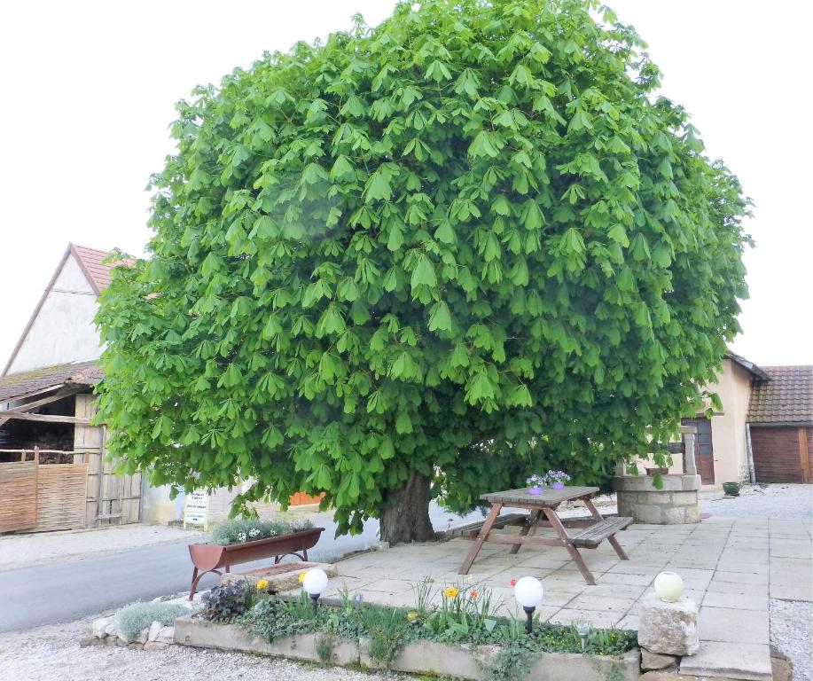 Zahrada ubytování chambres d'hôte Le Marronnier