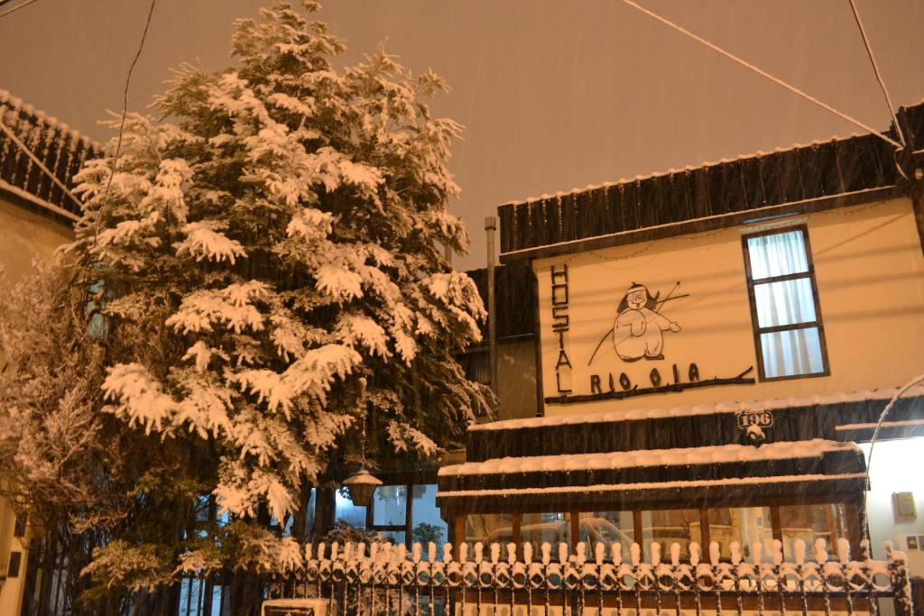 un árbol cubierto de nieve frente a un edificio en Hostal Rio Ona en Ushuaia