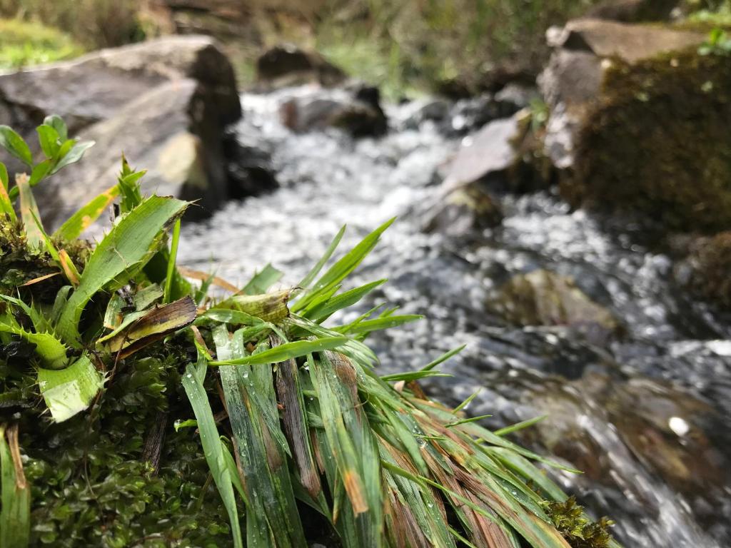  Estalagem Carucacas