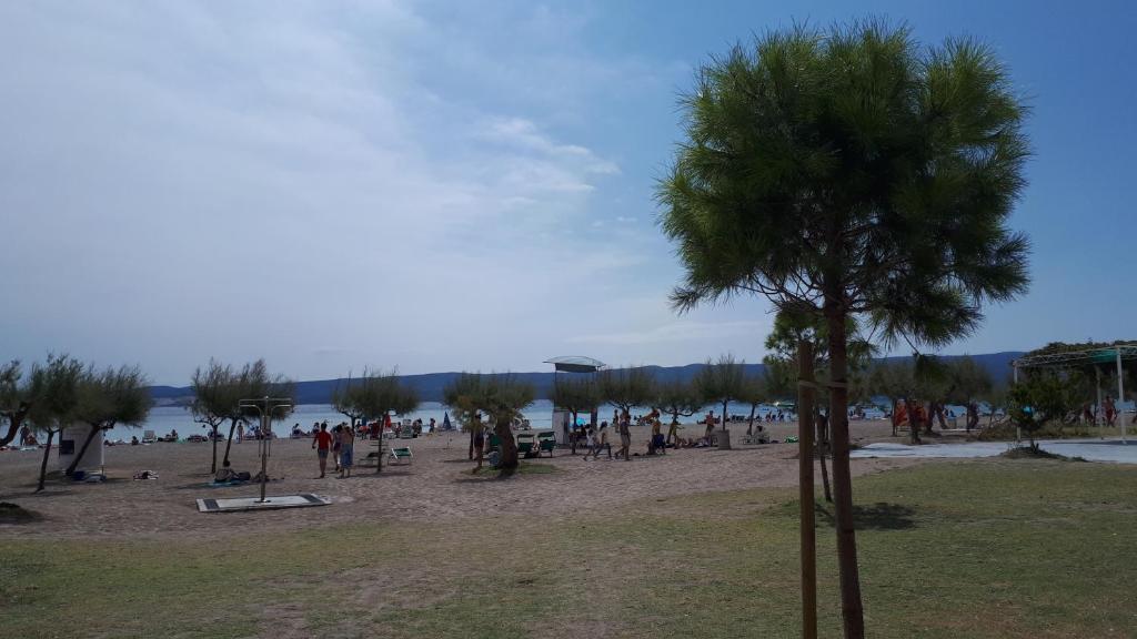 Príroda v okolí apartmánu