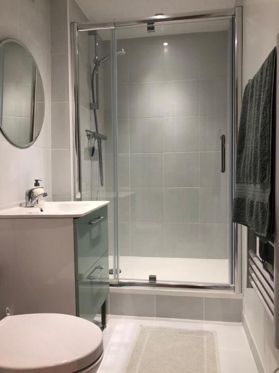 a bathroom with a shower and a toilet and a sink at Maison Marie in Lagarde