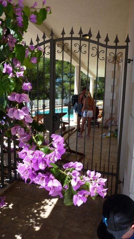 Vonkajšia záhrada v ubytovaní Villa Lizzi