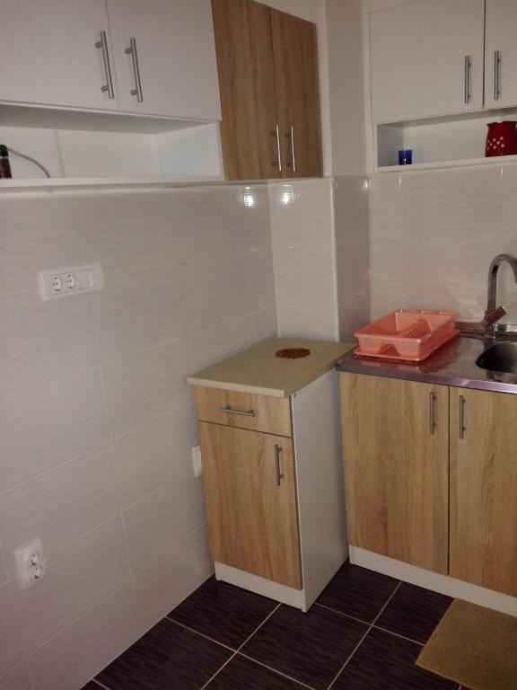 a small kitchen with a sink and a counter at Pešić Apartmani in Kušići