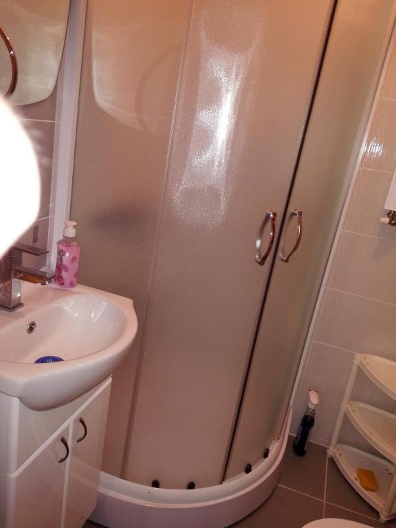 a bathroom with a shower and a sink at Pešić Apartmani in Kušići