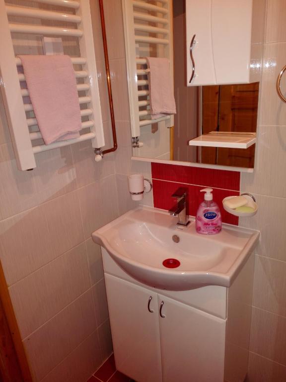 a bathroom with a white sink and a mirror at Pešić Apartmani in Kušići