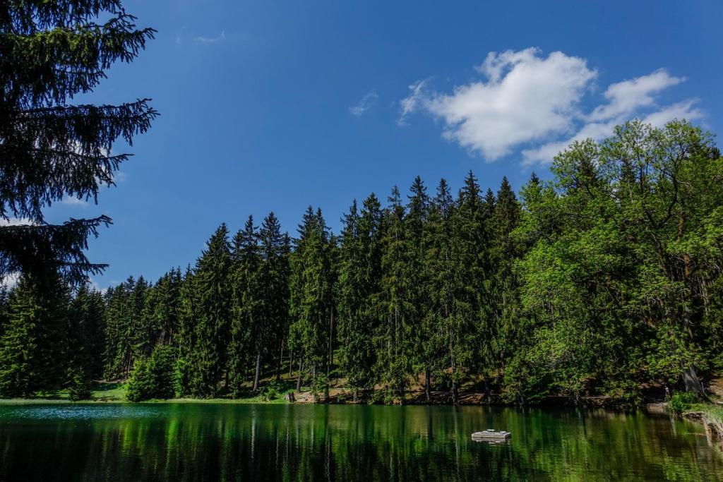 Paesaggio naturale nelle vicinanze dell'hotel