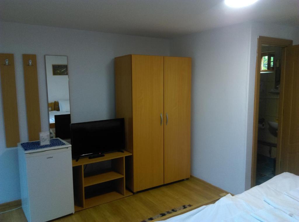 TV a/nebo společenská místnost v ubytování Vila Paula & SPA -ALL INCLUSIVE