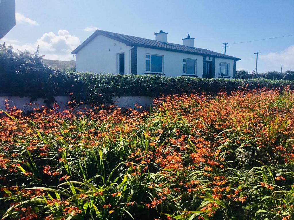 Zahrada ubytování Doolin View Apartment