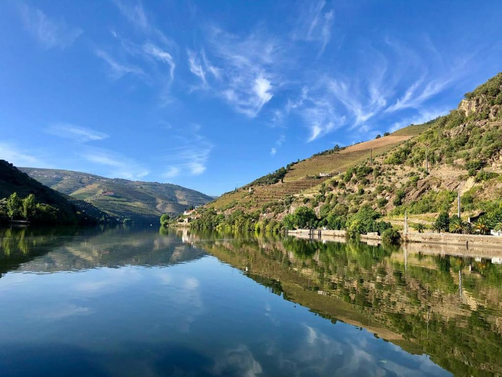 Casa Com Piscina no Coração do Douro - Domaine Casa Valença, - 度假屋