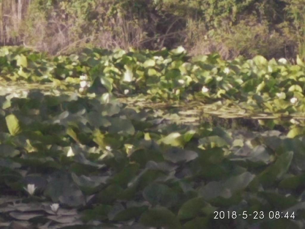 Príroda v okolí dovolenkového domu
