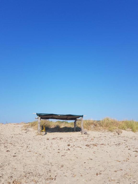 Príroda v okolí dovolenkového domu