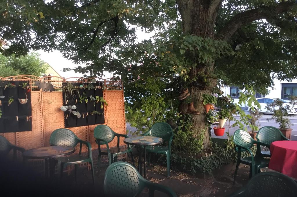 Ảnh trong thư viện ảnh của Hotel zur Eiche ở Oberthal