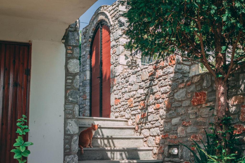 Fotografia z galérie ubytovania Casa di Bella v destinácii Marathos
