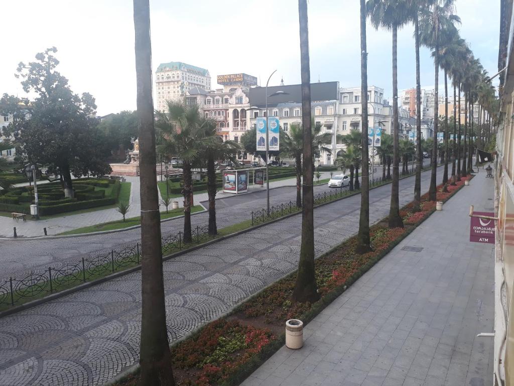 a street lined with palm trees in a city at View of the Tower of Alphabet in Batumi