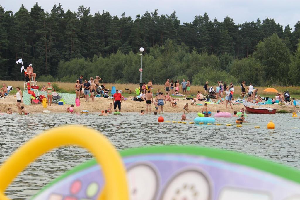 Goście zatrzymujący się w obiekcie Biały Łabędź