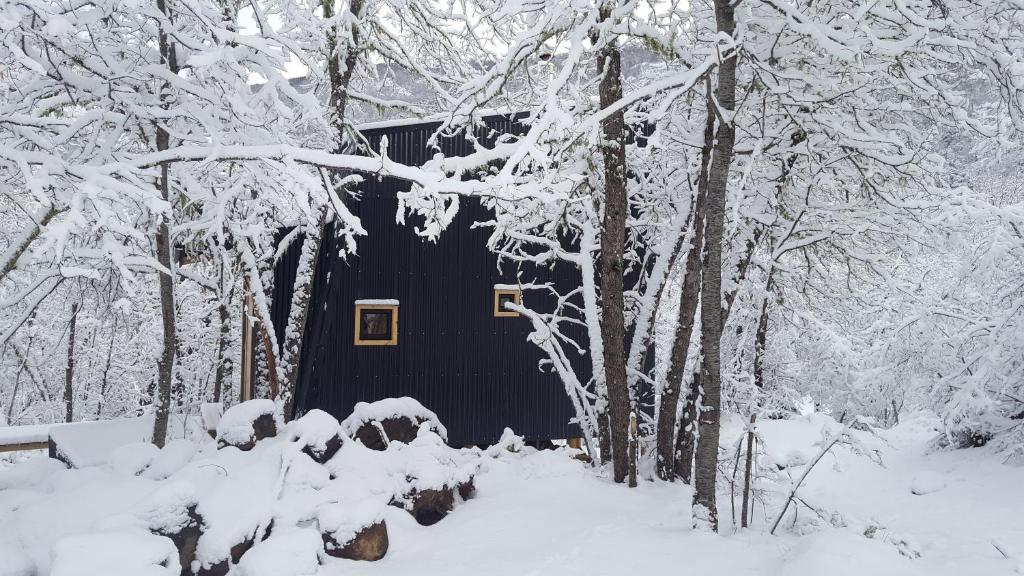 Andrómeda Lodge en invierno