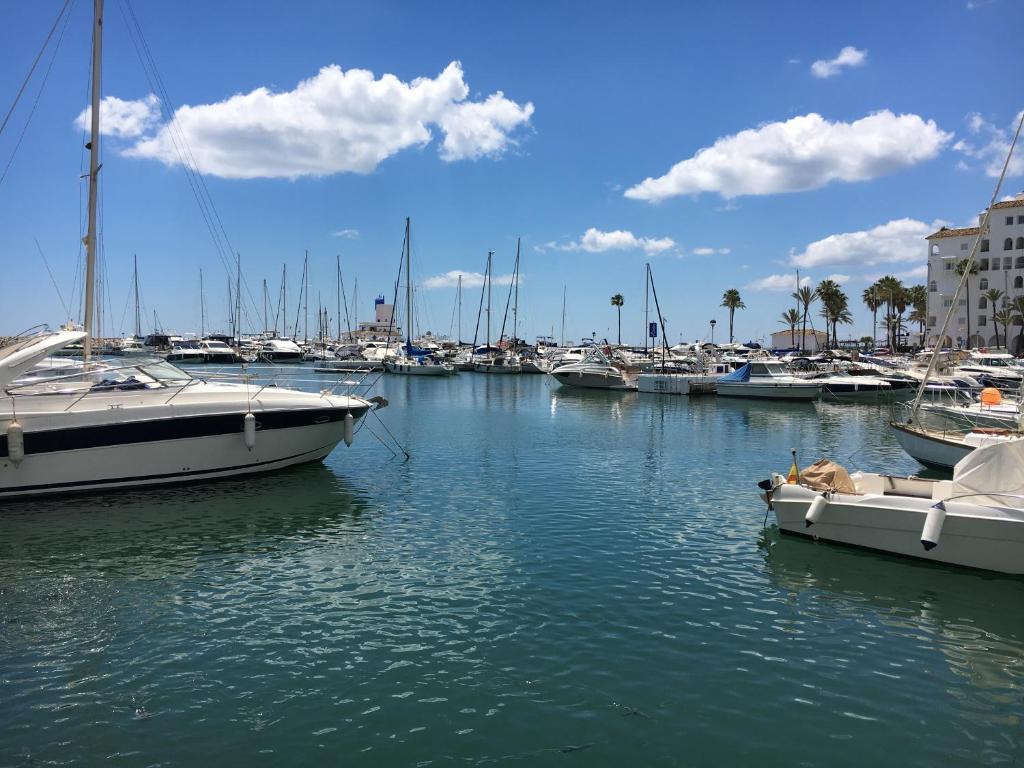 un groupe de bateaux dans un port de plaisance avec un chien dans un bateau dans l'établissement Poseidons Pearl Duquesa, à Manilva