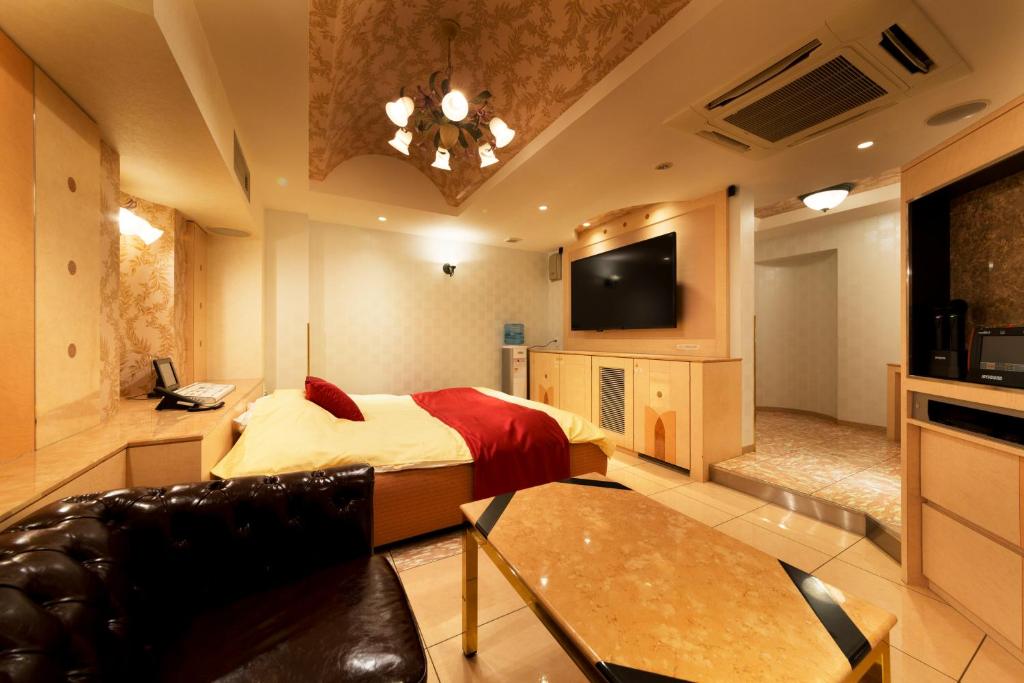 TV a/nebo společenská místnost v ubytování Hotel Luna Ikeda (Adult Only)