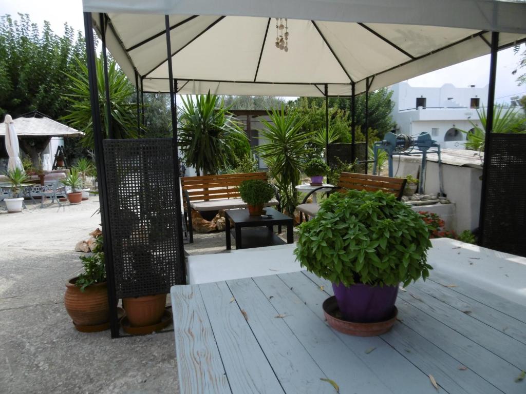 Zahrada ubytování Skyros Panorama Studios