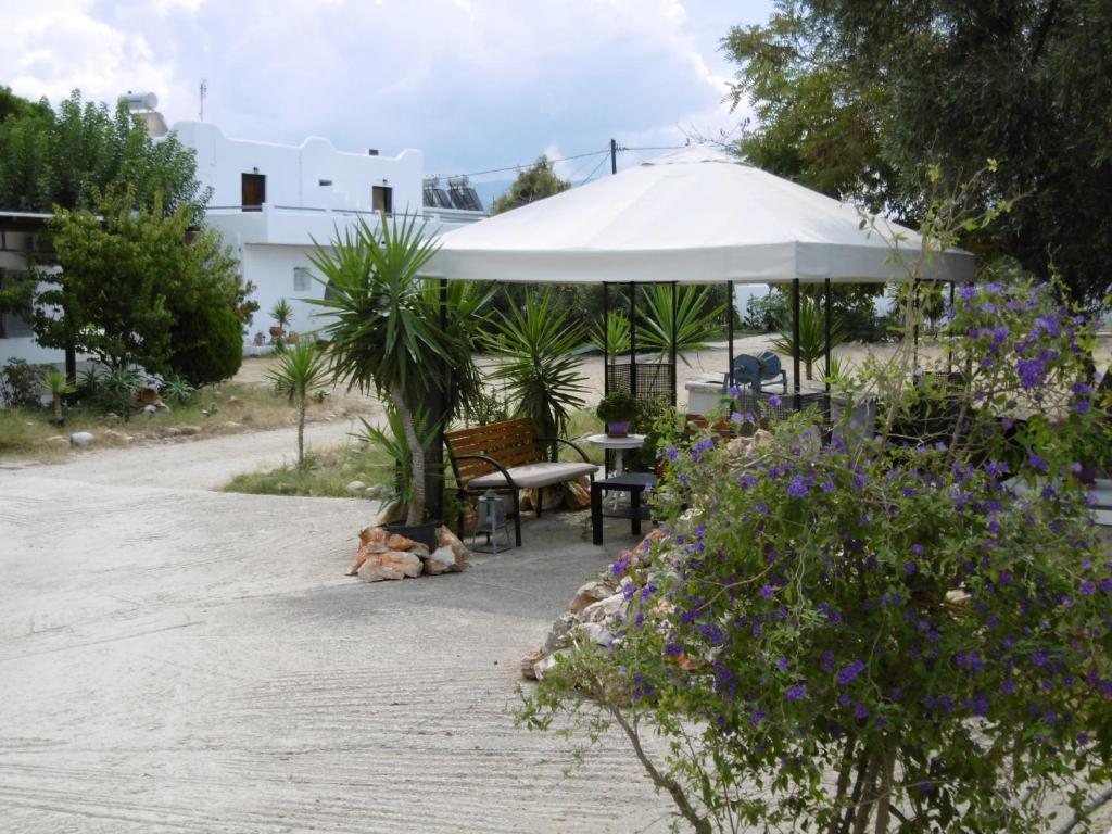 Zahrada ubytování Skyros Panorama Studios