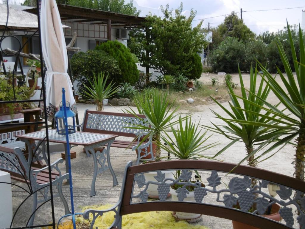 Zahrada ubytování Skyros Panorama Studios