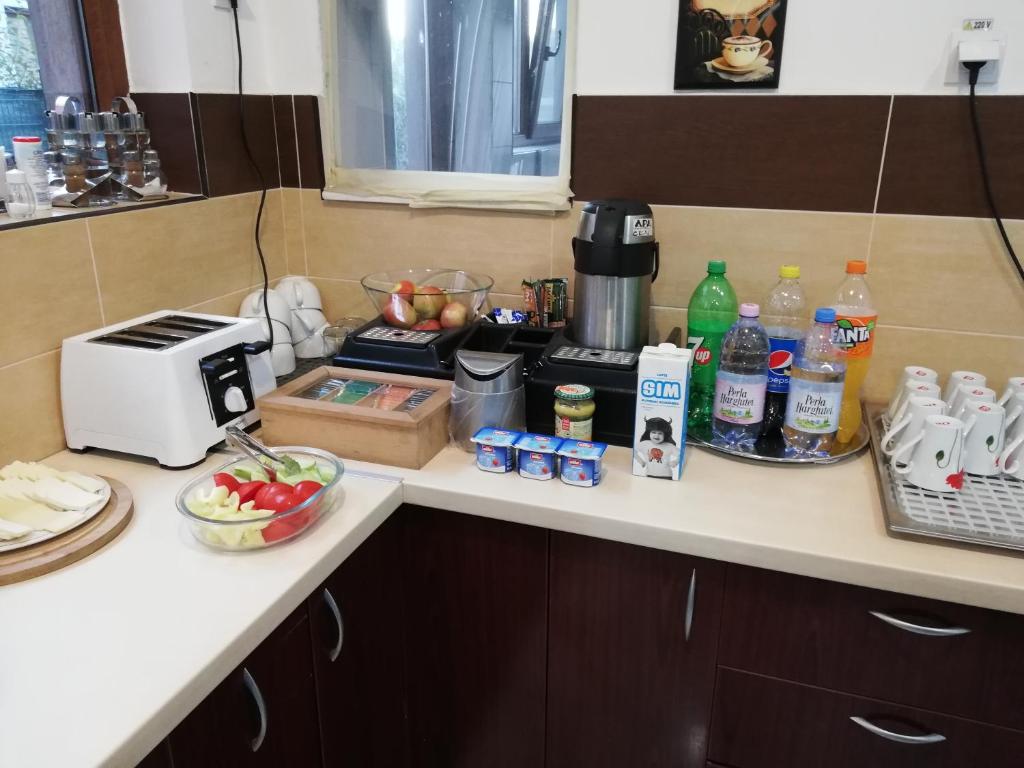 Vila Dorobantilor - Resim 10