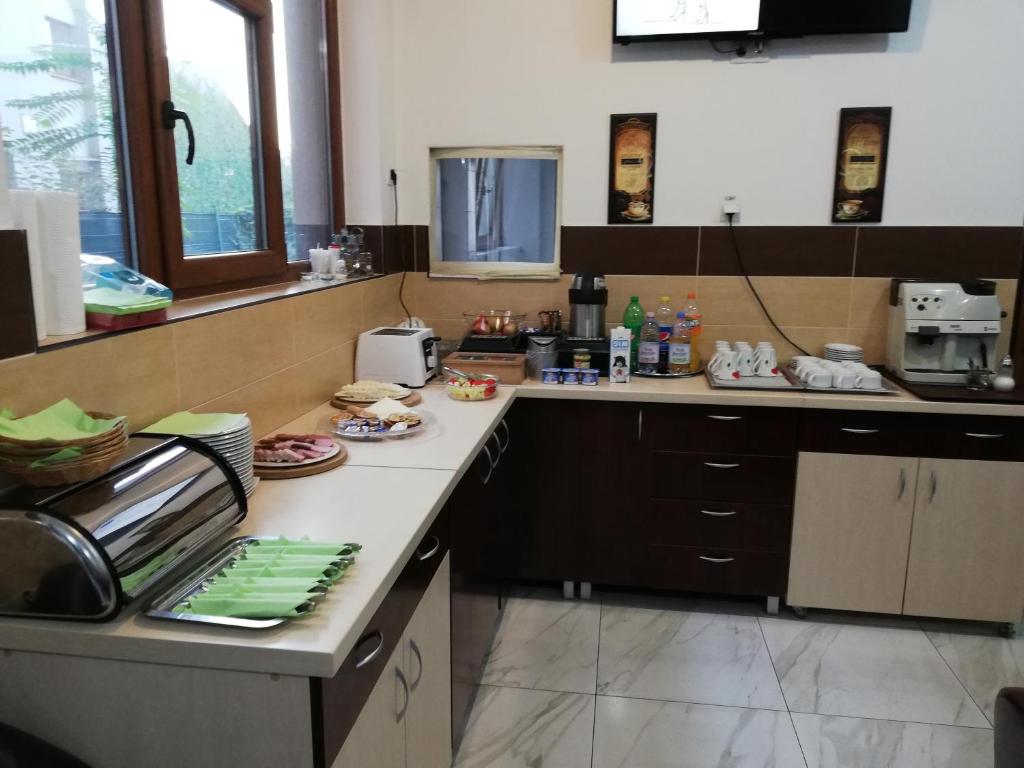 Vila Dorobantilor - Resim 9