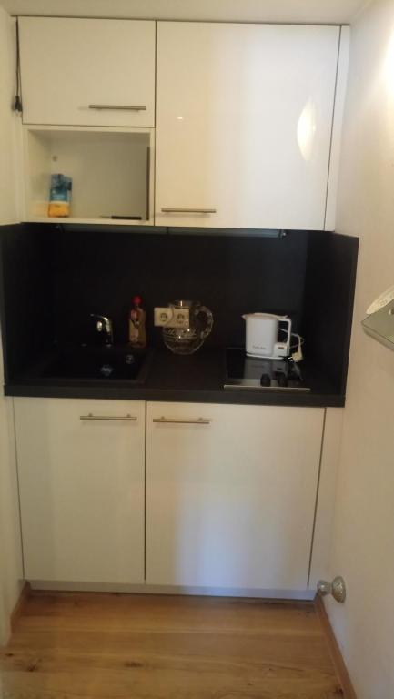 Kuchyň nebo kuchyňský kout v ubytování Alter Markt LOFT