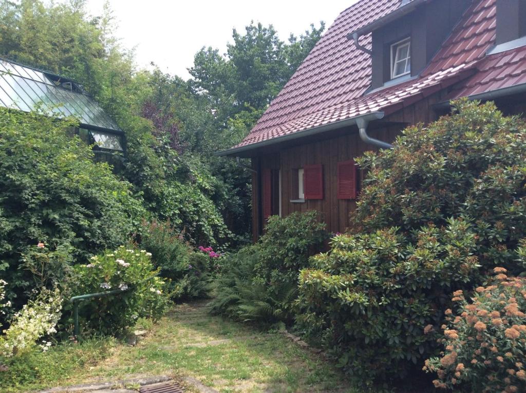 a garden in front of a house with bushes at Ferienwohnung Cipolla in Oberkirch