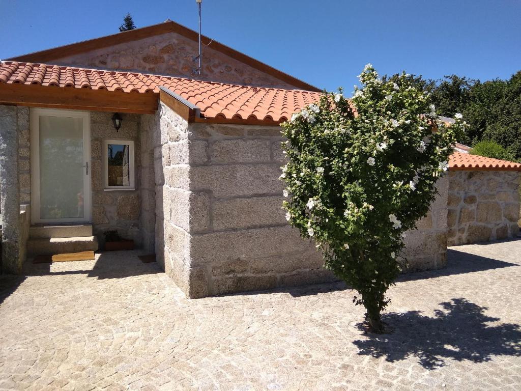 ein kleines Gebäude mit einem Baum davor in der Unterkunft Casa do Forno, Viseu in Oliveira de Barreiros