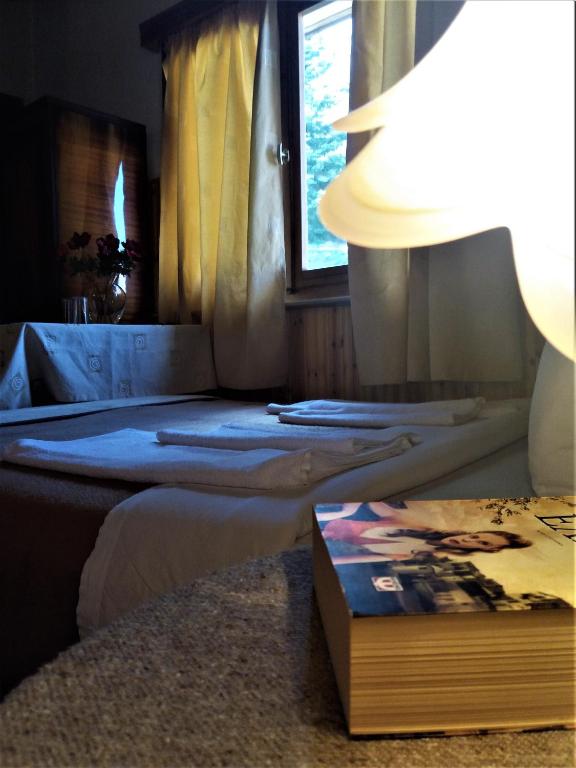 Posezení v ubytování Hotel Acropolis Metsovo