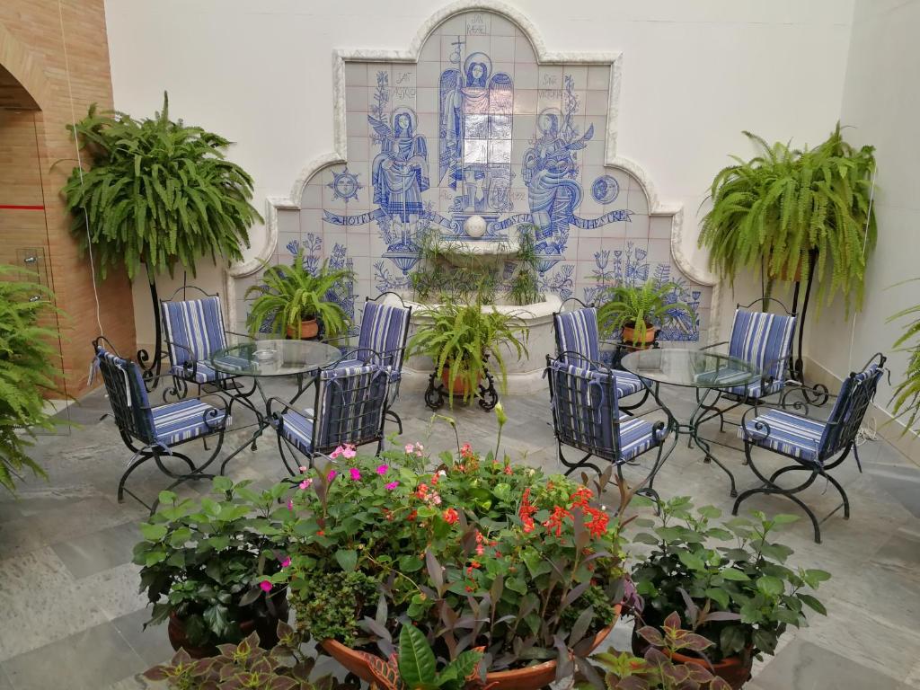 Zahrada ubytování Hotel Maestre