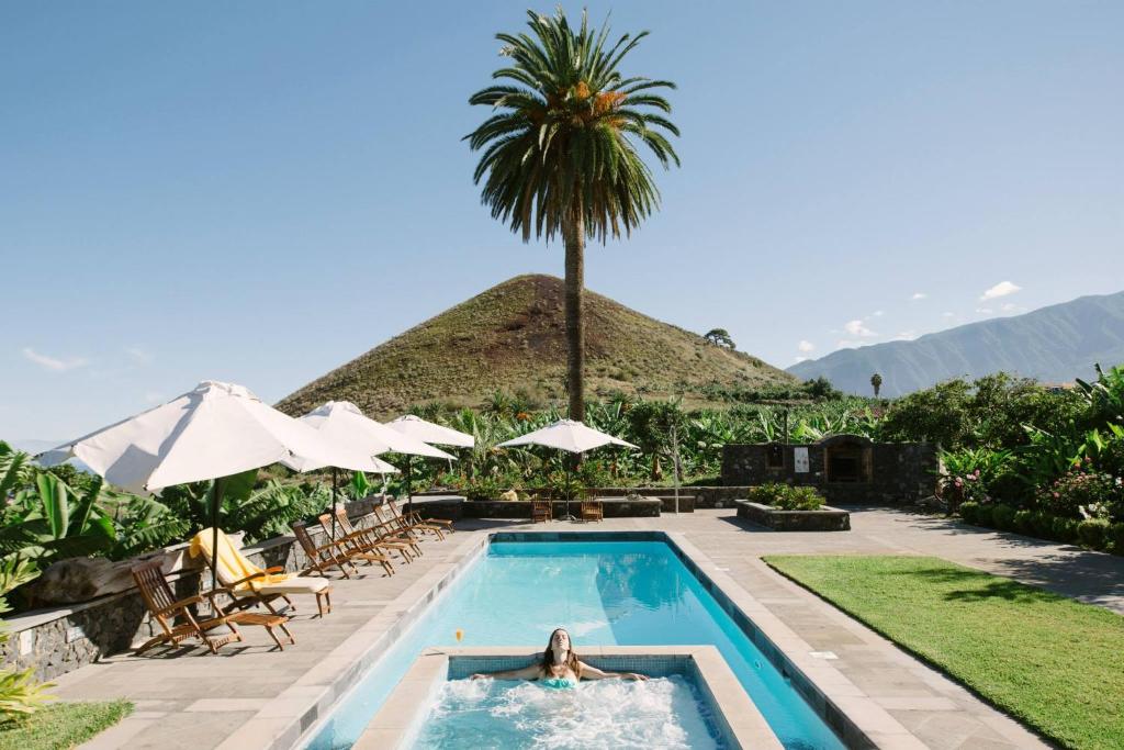 eine Person, die in einem Pool mit einer Palme schwimmt in der Unterkunft Finca el Patio in Los Realejos