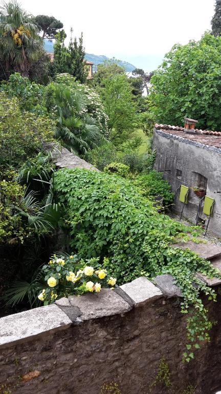 un jardín con flores amarillas en una pared de piedra en Appartamenti Raineri, en Domaso