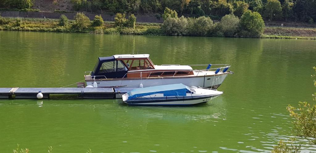 a boat is docked at a dock in the water at Cafe Sander´s Camping auf der Mosel in Winningen