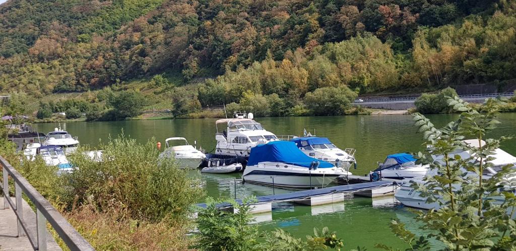 Příroda nedaleko ubytování na lodi