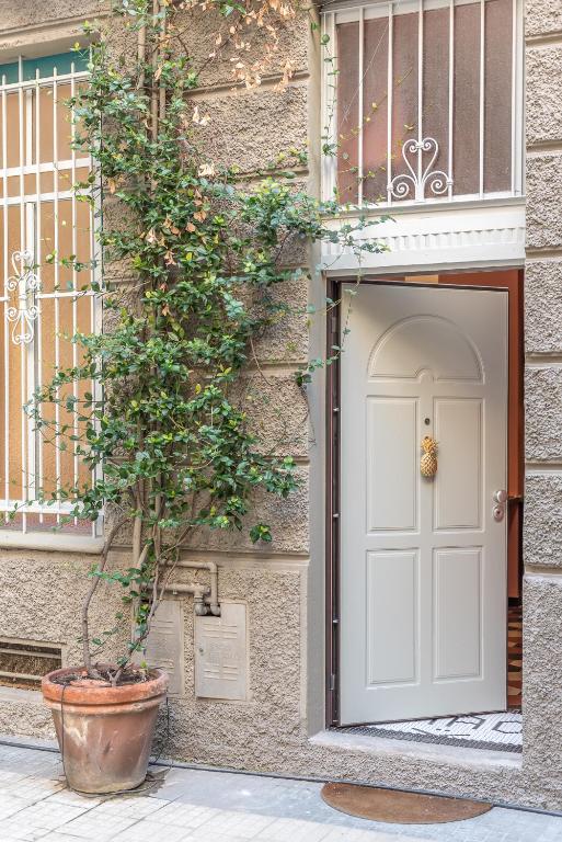 Hotel Monocase Milano, a potted tree in a pot next to a door at Monocase Milano in Milan