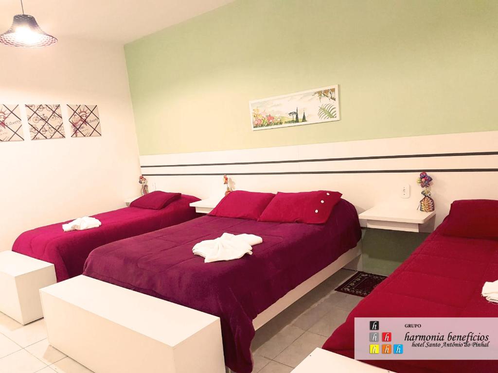  Hotel Harmonia Santo Antonio do Pinhal