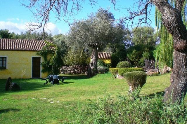 un patio con una casa y una mesa en el césped en Agriturismo nuraghe Putzu Canu, en Perfugas