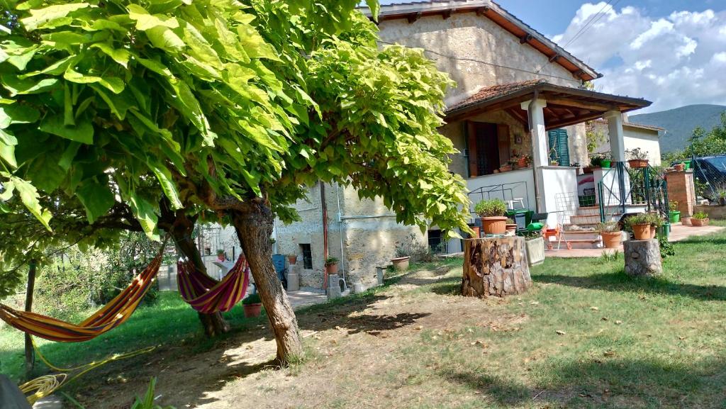 Zahrada ubytování Baduerughe - ValledelLago
