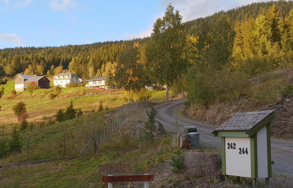 a winding road with a house on the side of a hill at Opslidre Apartment in Slidre
