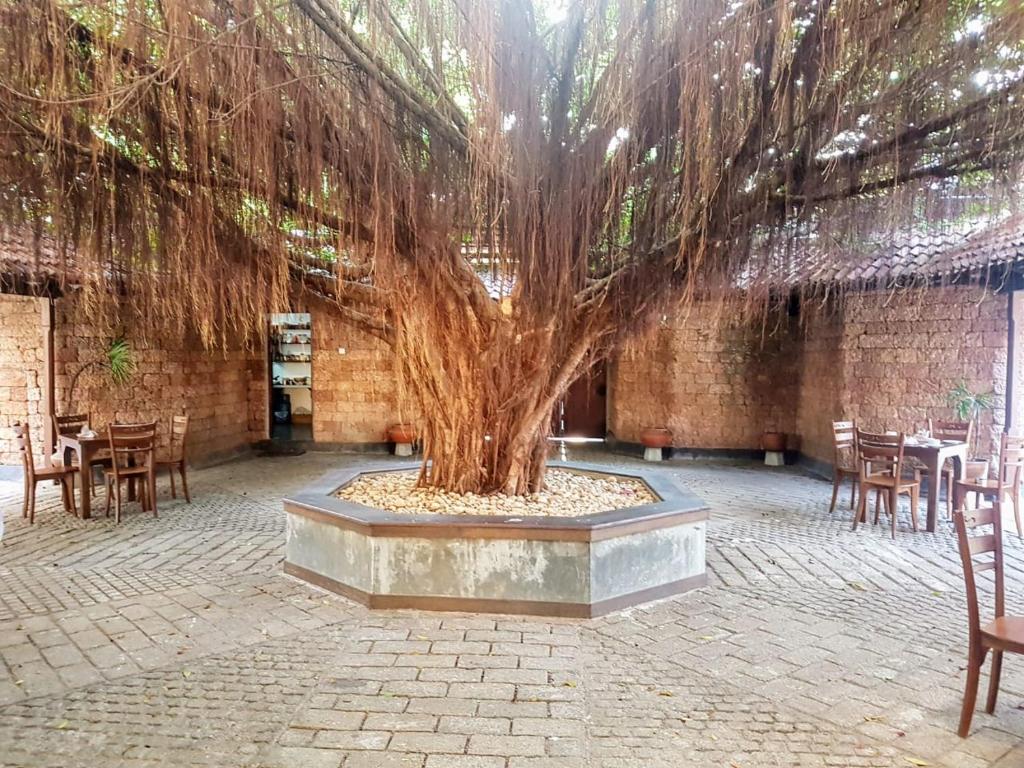 Fotografie z fotogalerie ubytování Artisan Villa v destinaci Colombo