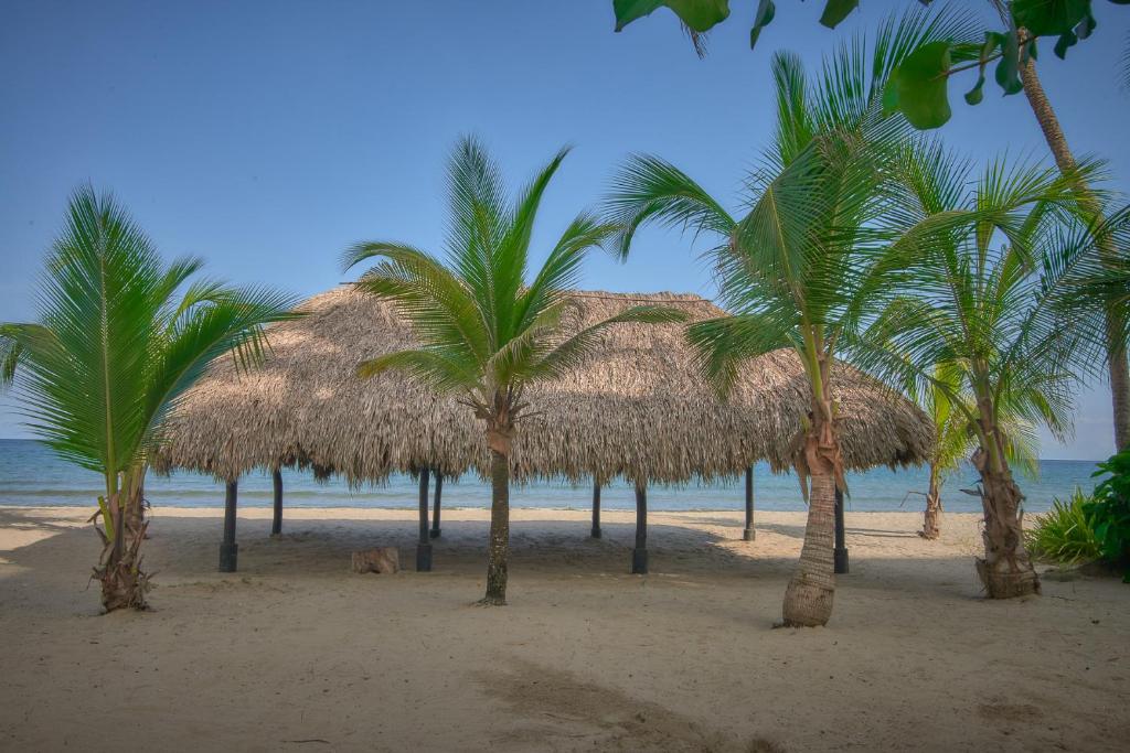 un grupo de palmeras en una playa de arena en Cabaña Coveñitas 4, en Coveñas